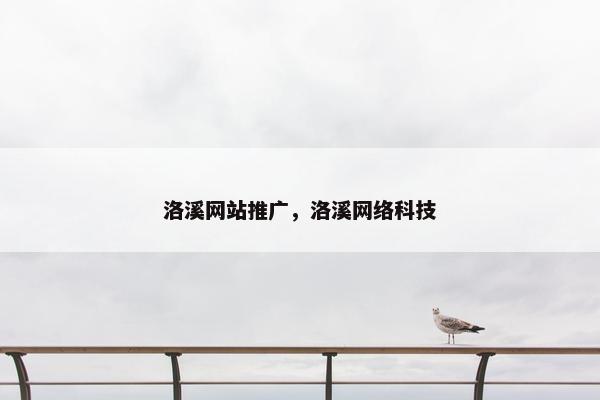 洛溪网站推广，洛溪网络科技
