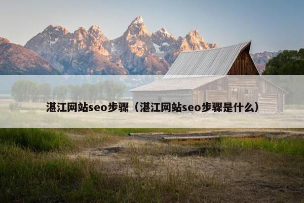 湛江网站seo步骤（湛江网站seo步骤是什么）