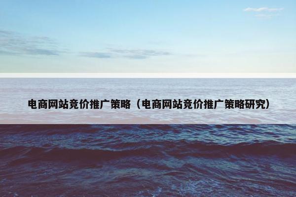 电商网站竞价推广策略（电商网站竞价推广策略研究）