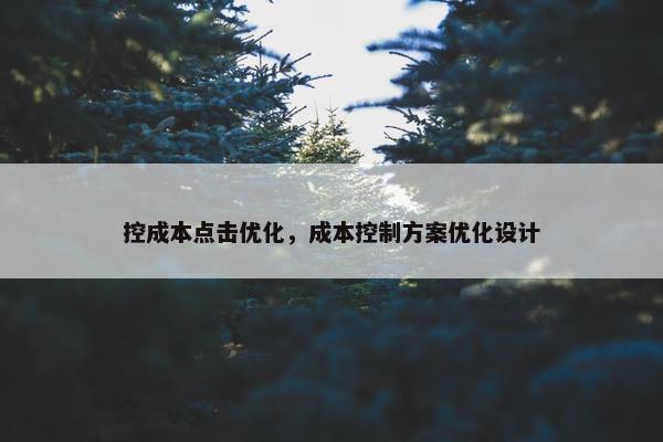 控成本点击优化，成本控制方案优化设计