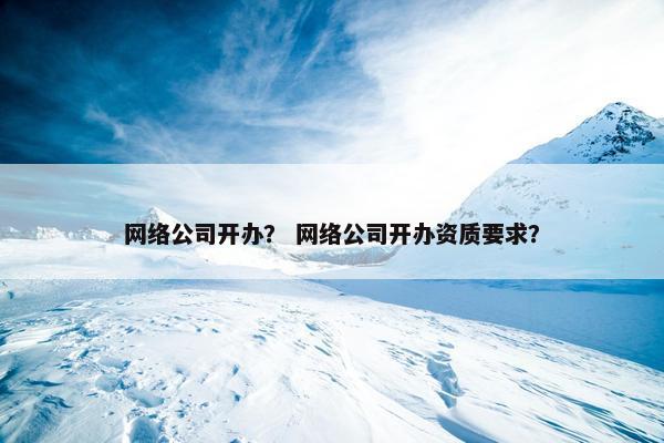 网络公司开办？ 网络公司开办资质要求？