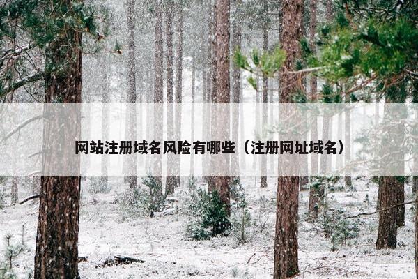 网站注册域名风险有哪些（注册网址域名）