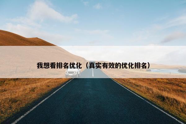 我想看排名优化（真实有效的优化排名）