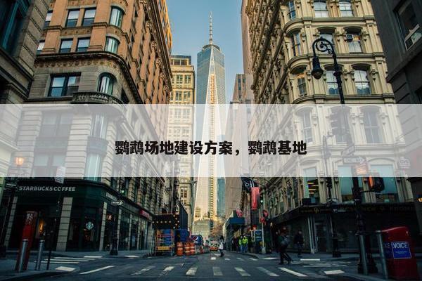 鹦鹉场地建设方案，鹦鹉基地