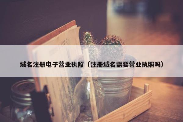 域名注册电子营业执照（注册域名需要营业执照吗）