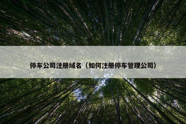 停车公司注册域名（如何注册停车管理公司）