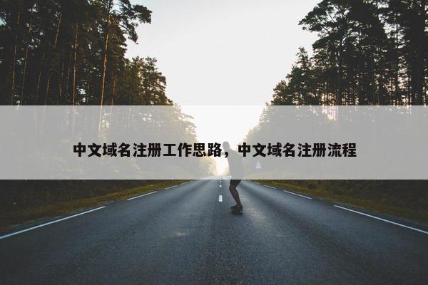 中文域名注册工作思路，中文域名注册流程