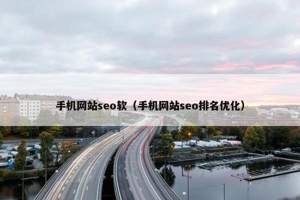 手机网站seo软（手机网站seo排名优化）
