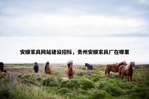 安顺家具网站建设招标，贵州安顺家具厂在哪里