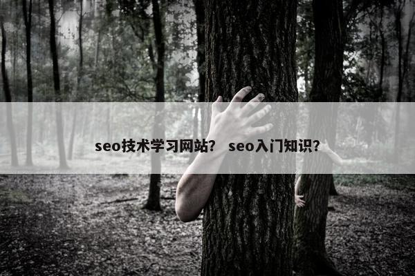 seo技术学习网站？ seo入门知识？