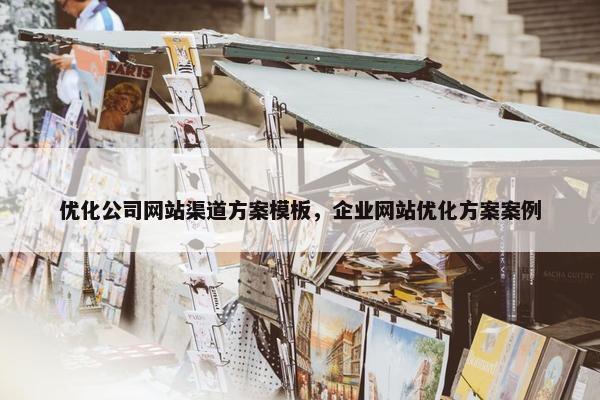 优化公司网站渠道方案模板，企业网站优化方案案例