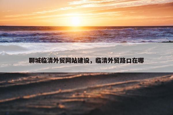 聊城临清外贸网站建设，临清外贸路口在哪
