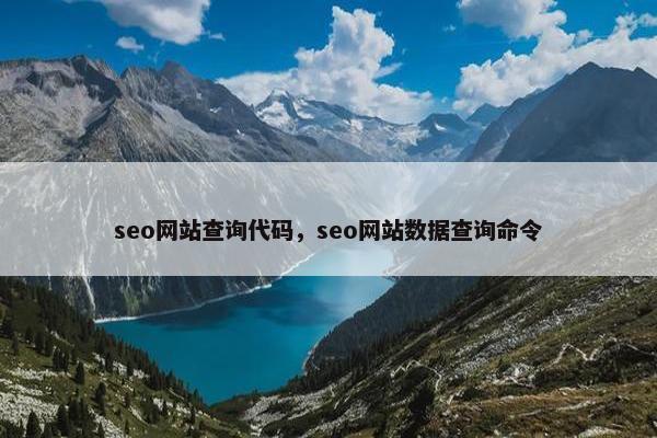 seo网站查询代码，seo网站数据查询命令