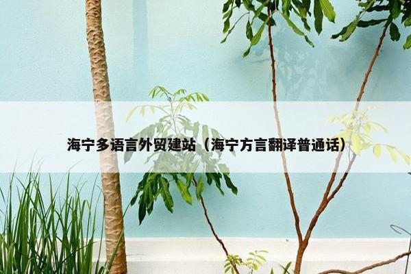 海宁多语言外贸建站（海宁方言翻译普通话）