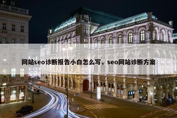 网站seo诊断报告小白怎么写，seo网站诊断方案