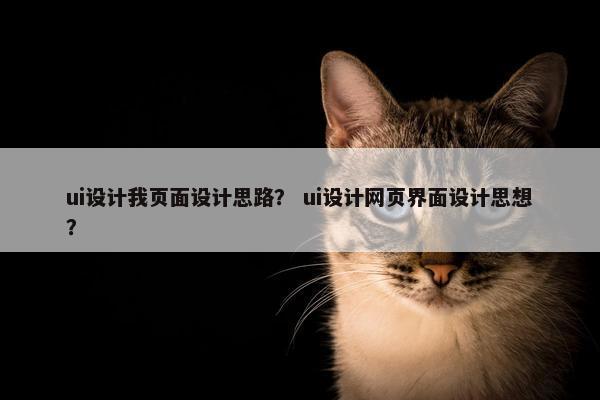 ui设计我页面设计思路？ ui设计网页界面设计思想？