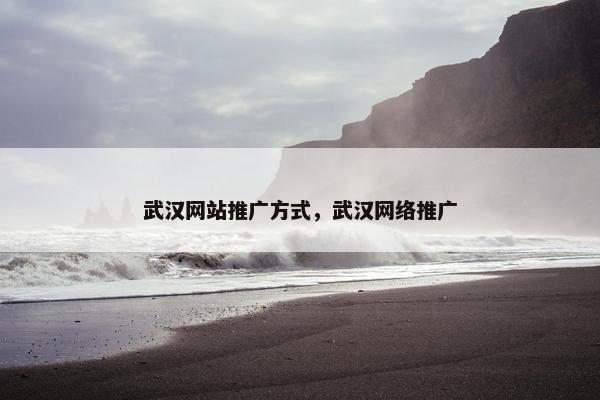 武汉网站推广方式，武汉网络推广