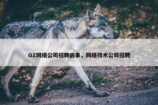 GZ网络公司招聘启事，网络技术公司招聘
