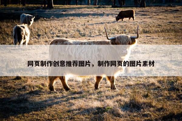 网页制作创意推荐图片，制作网页的图片素材