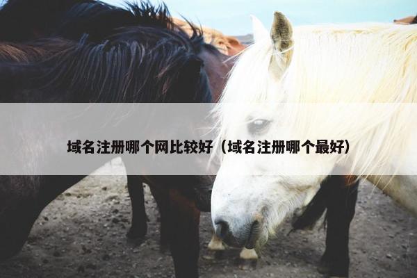 域名注册哪个网比较好（域名注册哪个最好）