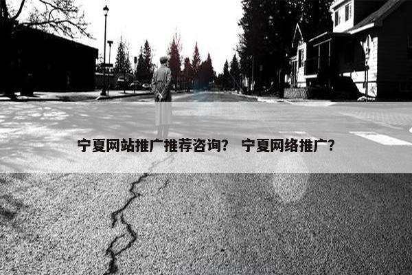 宁夏网站推广推荐咨询？ 宁夏网络推广？