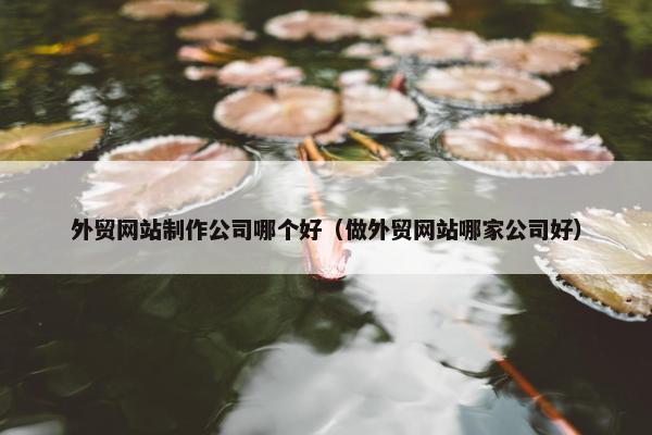 外贸网站制作公司哪个好（做外贸网站哪家公司好）