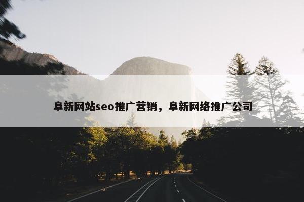 阜新网站seo推广营销，阜新网络推广公司