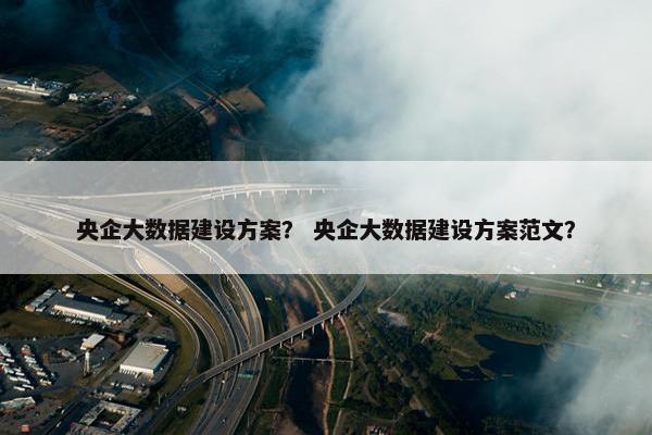 央企大数据建设方案？ 央企大数据建设方案范文？