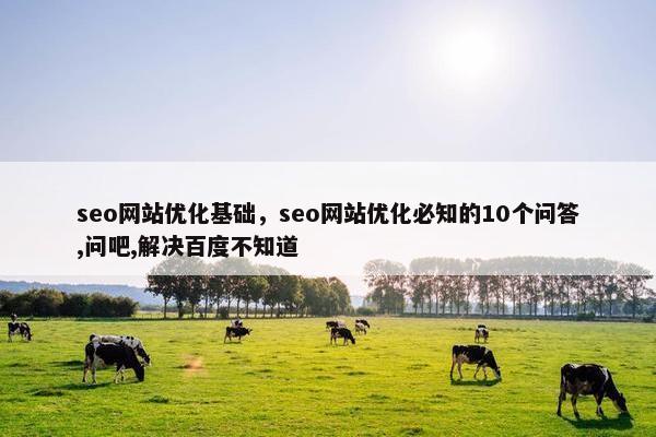 seo网站优化基础，seo网站优化必知的10个问答,问吧,解决百度不知道