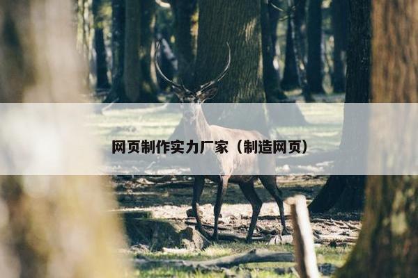 网页制作实力厂家（制造网页）