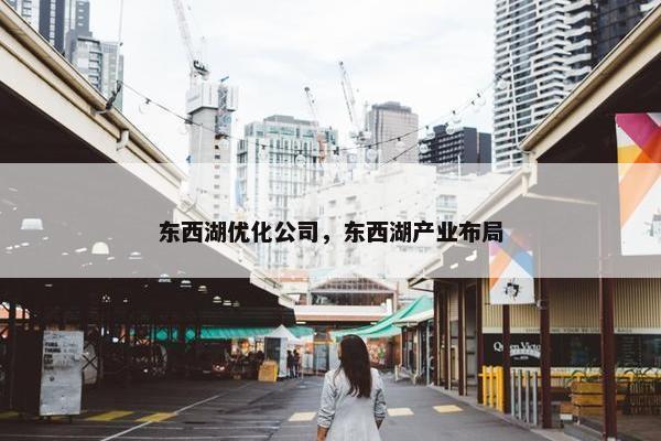 东西湖优化公司，东西湖产业布局