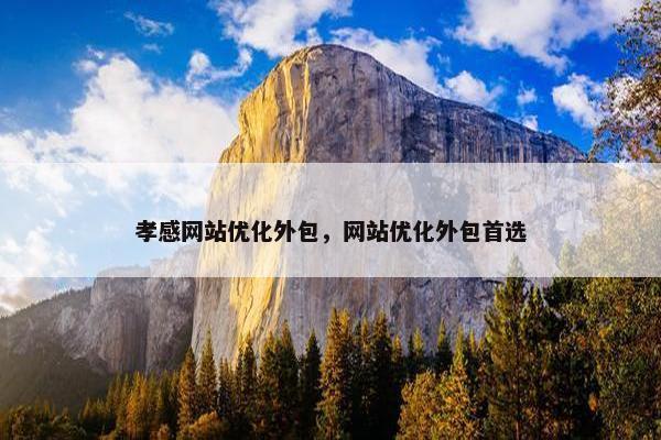 孝感网站优化外包，网站优化外包首选