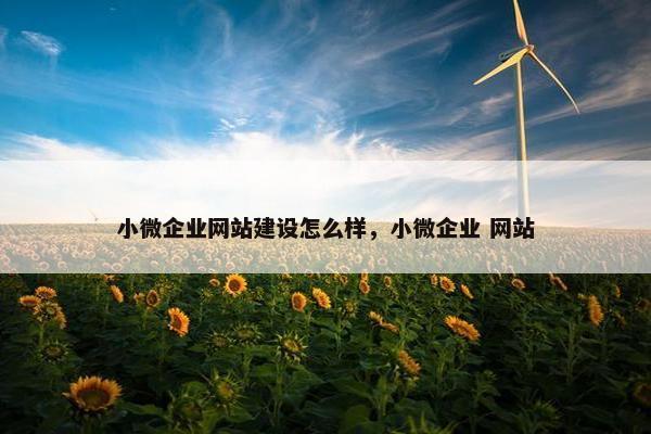 小微企业网站建设怎么样，小微企业 网站