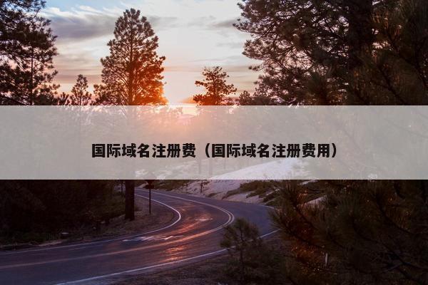国际域名注册费（国际域名注册费用）