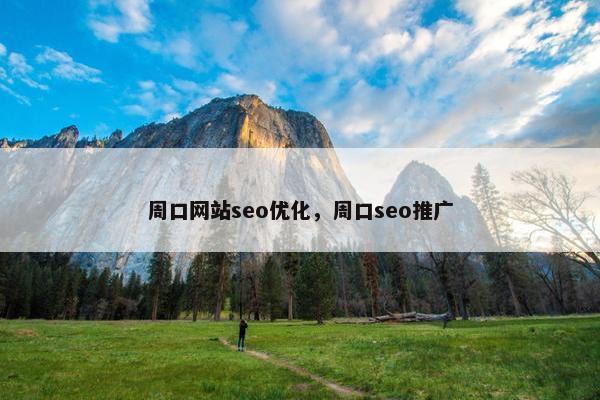 周口网站seo优化，周口seo推广