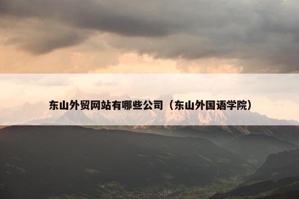 东山外贸网站有哪些公司（东山外国语学院）