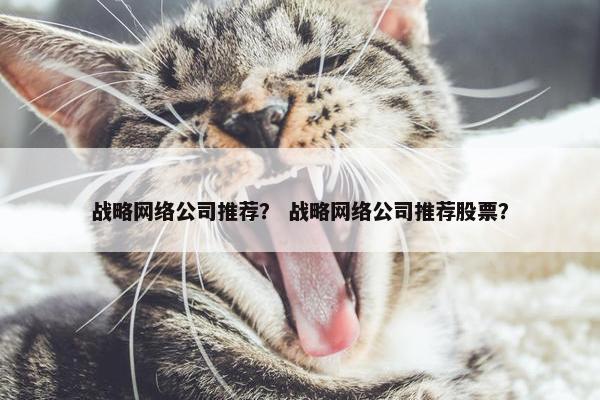 战略网络公司推荐？ 战略网络公司推荐股票？