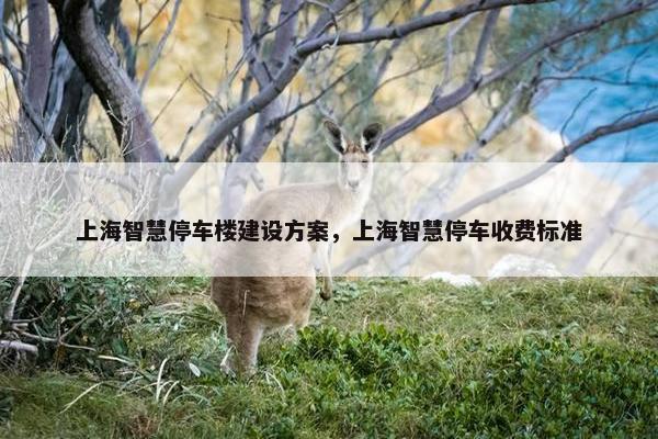 上海智慧停车楼建设方案，上海智慧停车收费标准