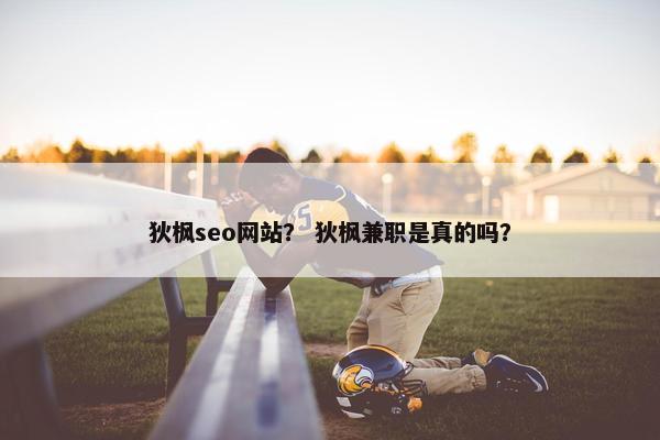 狄枫seo网站？ 狄枫兼职是真的吗？