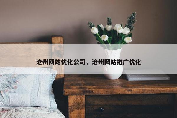沧州网站优化公司，沧州网站推广优化