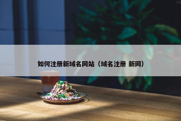 如何注册新域名网站（域名注册 新网）