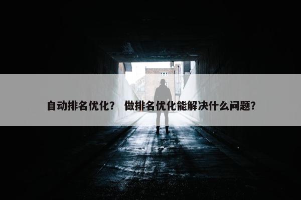 自动排名优化？ 做排名优化能解决什么问题？