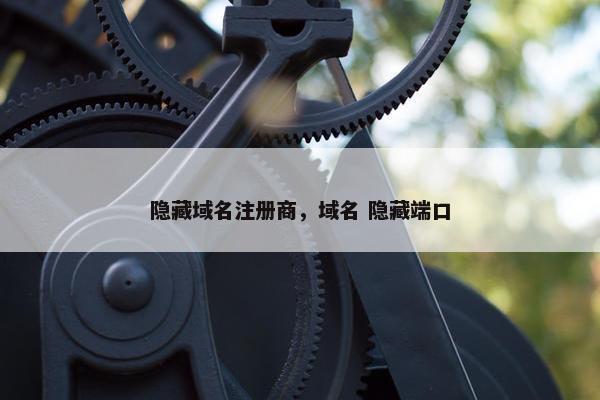 隐藏域名注册商，域名 隐藏端口