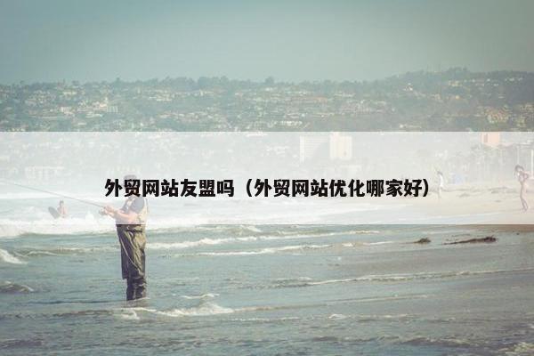 外贸网站友盟吗（外贸网站优化哪家好）