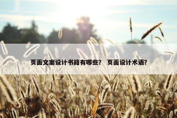 页面文案设计书籍有哪些？ 页面设计术语？