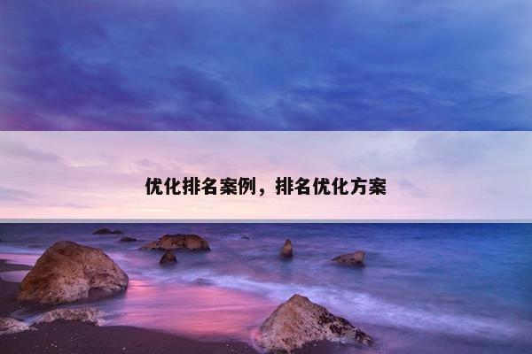优化排名案例，排名优化方案
