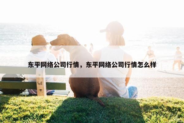 东平网络公司行情，东平网络公司行情怎么样