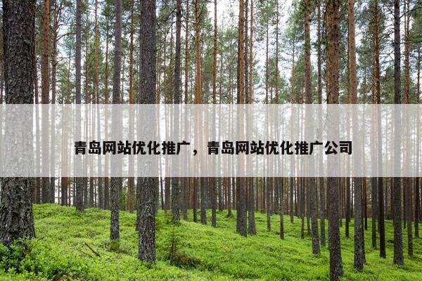 青岛网站优化推广，青岛网站优化推广公司