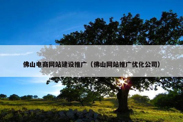 佛山电商网站建设推广（佛山网站推广优化公司）