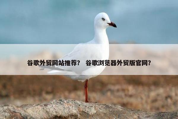 谷歌外贸网站推荐？ 谷歌浏览器外贸版官网？